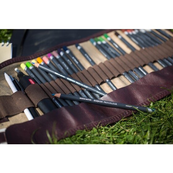 Derwent Procolour (12) Tin