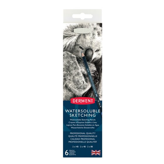 Derwent Watersoluble Sketching Pencils 6 Tin