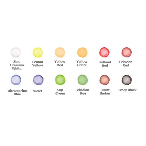 Derwent Academy Watercolour Paints 12ml (Pack of 12)