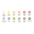 Derwent Academy Watercolour Paints 12ml (Pack of 12)